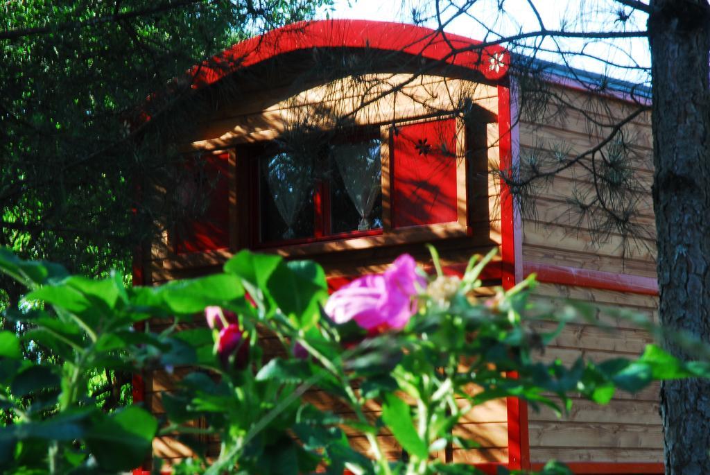 Gypsy Nature B&B Jumelles  Chambre photo